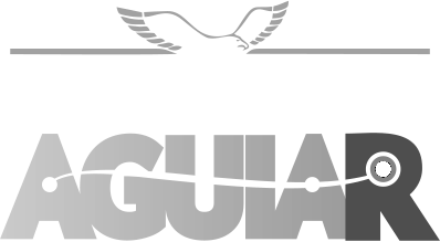 Despachante Aguiar